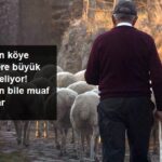 Şehirden Köye Dönenlere Büyük Teşvik Geliyor