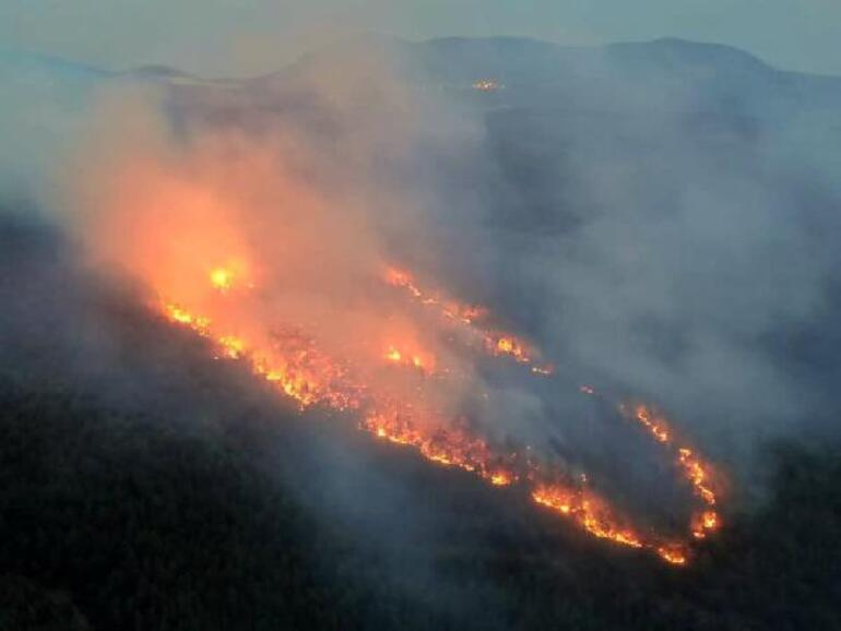 Muğladaki orman yangınında sabotaj şüphesi Soruşturma başlatıldı