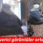 Yaşlı Kadını öldüresiye Dövmüşler! Valilikten Açıklama Geldi