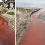 Marmara'yı Kırmızıya Boyayan Fabrikaya Dev Ceza!