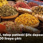 Şifa Deposu Çayın Kilosu 300 Liraya Çıktı