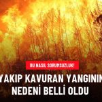 İzmir'i Yakıp Kavuran Yangının Çıkış Sebebi Belli Oldu