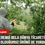 Kahverengi Kokarca, Kuraklık ve Don Rekolteyi Vurdu