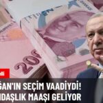 Vatandaşlık Maaşı İçin Geri Sayım Başladı
